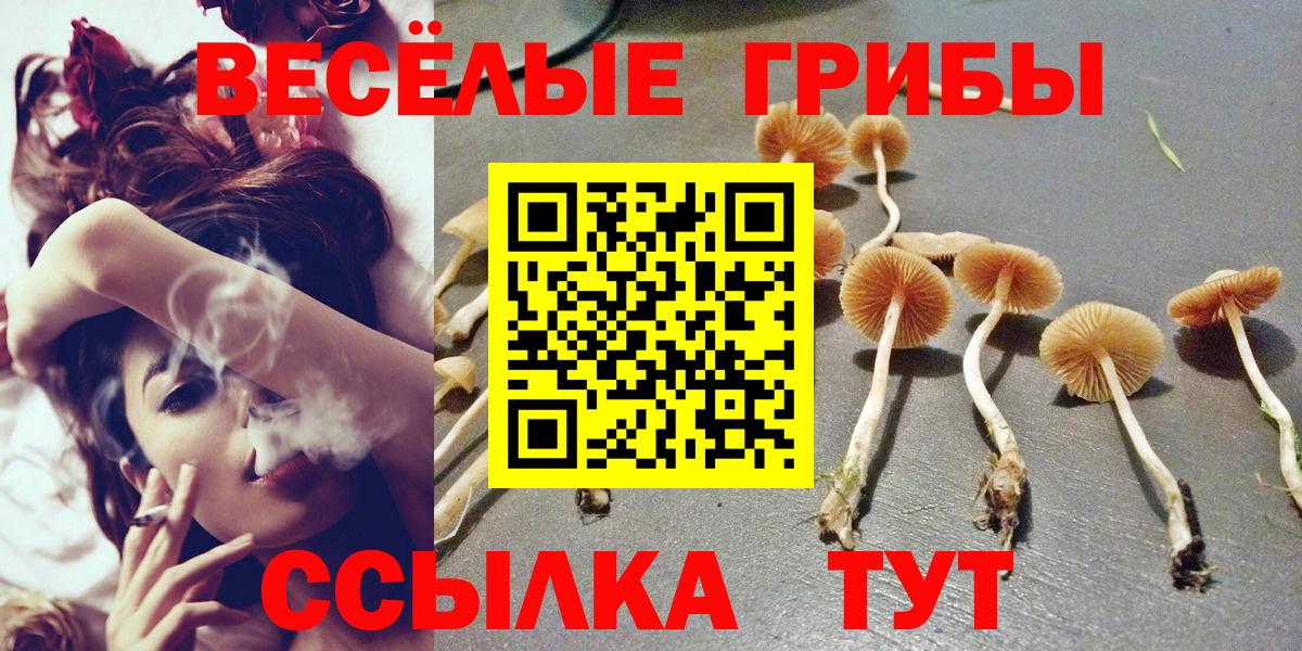Псилоцибиновые грибы ЛСД Юрга
